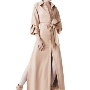 TANIKA VEGAN LEATHER
BUTTON FRONT MAXI DRESS
COLOR: ALMOND